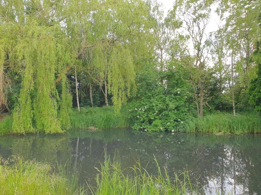 Pondside Barn Villa Long Wittenham Bagian luar foto